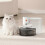 Smart Water Dispenser Automatic Pouring System compatible with Dogs 2