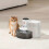 Smart Water Dispenser Automatic Pouring System compatible with Dogs 4