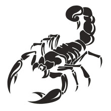 Adesivo in vinile autoadesivo Scorpion per auto, decorazione cofano, colore nero/bianco