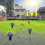 4pcs Solar Snake Repellent compatible with Outdoors 3