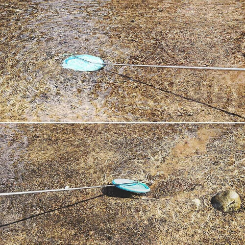 Τηλεσκοπικό Disc Golf Retriever με γάντζο από ανοξείδωτο ατσάλι 1