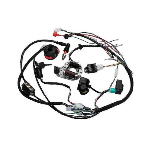 Compatível com chicote elétrico completo para motocicletas, quadriciclos e pit bikes de 50, 70, 90, 110 e 125 cc.