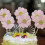 6pc Flicker Flower Petal Cake Toppers Pink 4