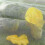 4X,10Mx2M Insect Bug Fly Fruit Cage Mesh Net Netting Vegetable Plant Protection 5