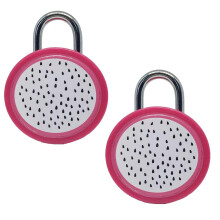 Mini Padlock with Keys for Jewelry Box and Handbag, Cute Dragon Design, Compact Travel Lock, 2pcs