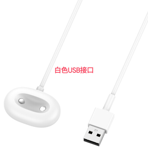 (White USB Interface) Google Watch 4 Schnellladefunktion (magnetisch)