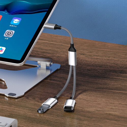 Typ-C-auf-Dual-USB-2.0-Adapter Grey 2
