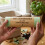50L Compostable Food Waste Caddy Bags 10 Biodegradable 5