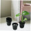 80pcs Hydroponic Net Pots with Slotted Mesh Design for Enhanced Root Aeration and Soilless Growing 4