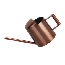 Stainless Steel Indoor Watering Can with Long Spout for Houseplants Ergonomic Handle Easy Pour