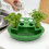 Jardinière hydroponique d'oignons verts, récipient-2 4