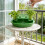 Jardinière hydroponique d'oignons verts, récipient-2 5