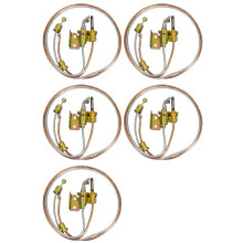 5X Natural Gas Water Heater Parts Assembly and Thermocouple