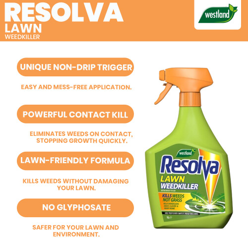 Westland Resolva Lawn Weedkiller Extra Ready to Use 1L 2