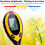 4 In 1 Soil Detector Electronic Soil PH Tester(Single Machine) 5