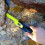 HS-10 Metal detector portatile impermeabile con display (verde fluorescente) 5