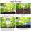 3 in 1 Digital Display Soil Detector, Soil Moisture, Temperature, PH 5
