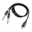 USB C σε διπλό στερεοφωνικό καλώδιο ήχου 6,35 χιλιοστών, τύπου C σε διπλό καλώδ 1