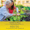Resolva Resolva Bug Control Spray 1L Ready Use Home Garden 8