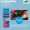 Westland Westland Hydrangea Colourant 500g Blue Bloom 4