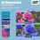Westland Westland Hydrangea Colourant 500g Blue Bloom 8