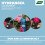 Westland Westland Hydrangea Colourant 500g Blue Bloom 9
