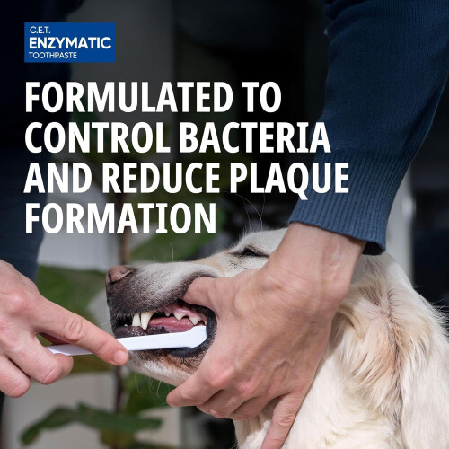 Virbac Virbac Enzymatic Toothpaste For Dogs, Poultry Flavour 70G 1