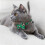 2 Pack Christmas Cat Collar Breakaway with Removable Bow Tie w 3