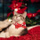 2 Pack Christmas Cat Collar Breakaway with Removable Bow Tie w 4