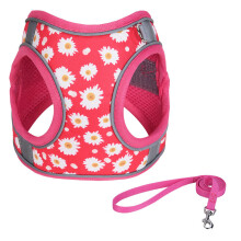 Dog Carrier and Leash, Easy Walking Puppy Carrier, Training Walking, Breathable Puppy Vest Compatible with Small and Medium Dogs, Cats