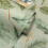 Crown (Sage Green) Oakleigh Trail Wallpaper Crown 2
