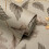 Crown (Taupe) Oakleigh Trail Wallpaper Crown 2