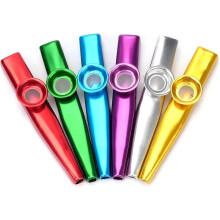 Kindermuziekkazoo van metaal (zilver) 1 stuk (H-4)