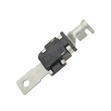 Pluspol-Batteriesicherung für Volvo S80 S60L V60