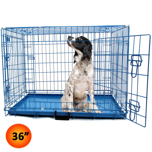 Actiaspet Blue 36in Dog Metal Training Cage 2