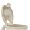 Hamilton Beach Cream Hamilton Beach 1.7L Kettle Detachable Filter 5