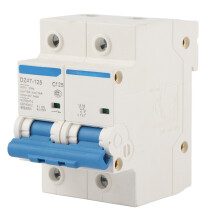 400V 80/100/125A Leakage Protection Switch DZ47-125 2P? Current Miniature Circuit Breaker(125A)