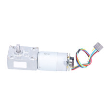 5840‐555 Schneckengetriebemotor, selbsthemmend, Drehzahlreduzierung, hohes Drehmoment, mit Encoder, 260 U/min, 24 V DC