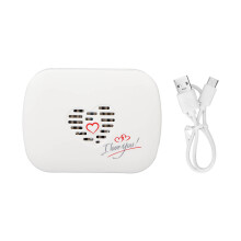 UV Zahnbürstenreiniger mit Wandmontage, USB Ladefunktion und 2 Fächern Zahnbürstenhalter für Badezimmer
