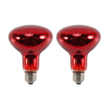 Confezione da 2 Lampadine Riscaldanti per Rettili da 100 W, Lampadine Anfibie un Infrarossi, Lampadine Riscaldanti per Rettili per Tartarughe,