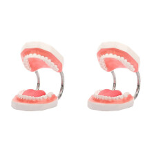 2X Teeth Mouth Model 6X Enlarged with Metal Hinge, Complete Set Teeth and Removable Tongue, PVC Speech Therapy Tool