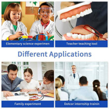 2X Teeth Mouth Model 6X Enlarged with Metal Hinge, Complete Set Teeth and Removable Tongue, PVC Speech Therapy Tool