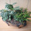 Stylish Imitation Wood Texture Flower Pot Container Crafted From 2