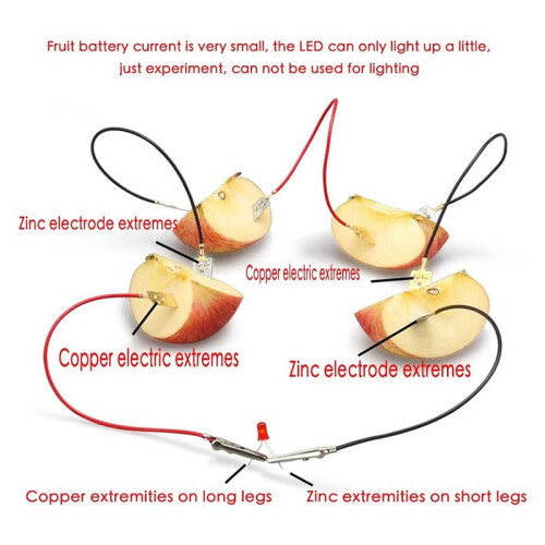 Fruit Battery Science Experiment Kit for Home Teaching Toy, Lemon Potato Battery Physics Teaching Experiment 12 Sets 2