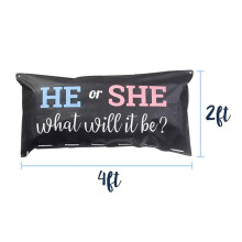 2X the Perfect Addition to Your Gender Reveal Party Supplies Gender Reveal Balloon Bag Boy or Girl