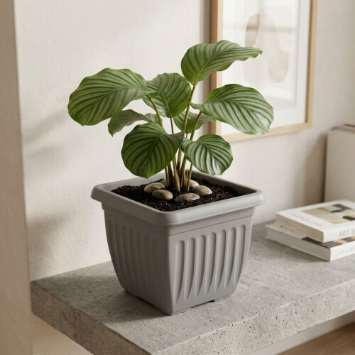 Athens Square Planter 40cm in Grey | Durable Plastic Garden Planter 1