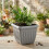 Athens Square Planter 40cm in Grey | Durable Plastic Garden Planter 3