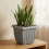 Athens Square Planter 40cm in Grey | Durable Plastic Garden Planter 6