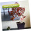 Bonsai Branch Bending Tool for Precise Trunk Control and Easy Bonsai Styling 2