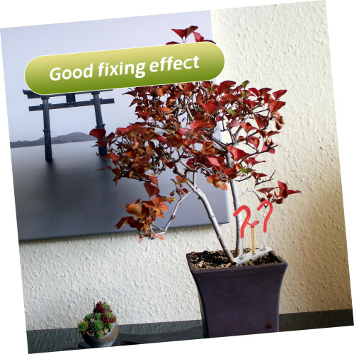 Bonsai Branch Bending Tool for Precise Trunk Control and Easy Bonsai Styling 1